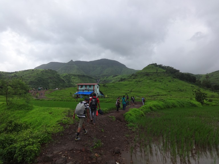 dsc02500