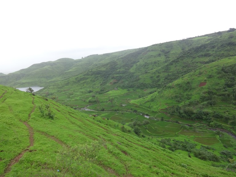 dsc02642