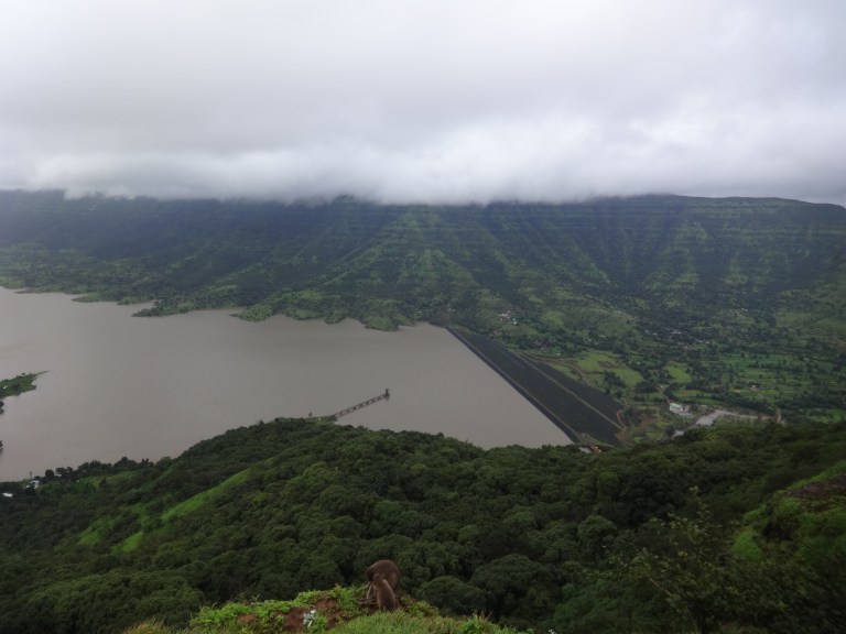 dsc03484
