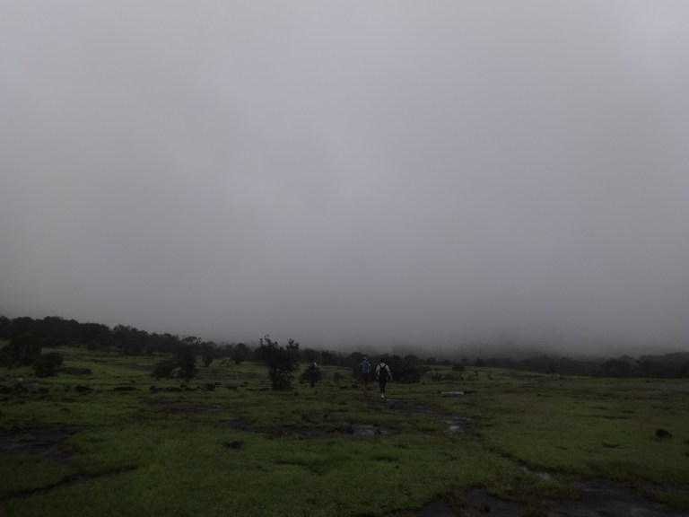 dsc03884