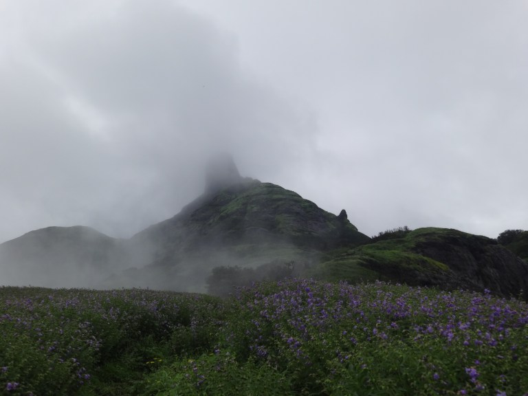 dsc03909