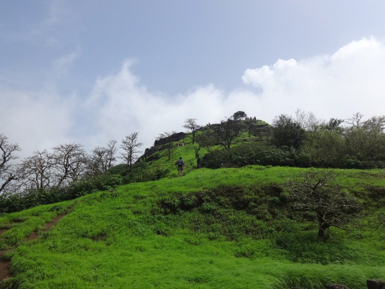 dsc07584