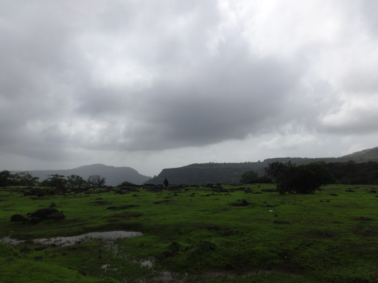 dsc07720