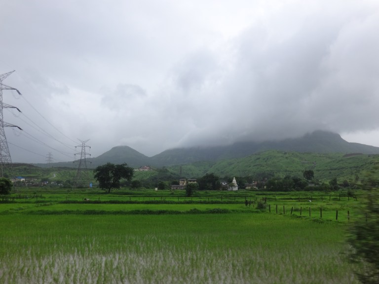dsc07917