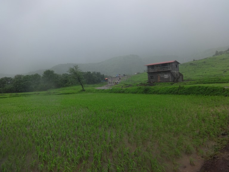 dsc07951
