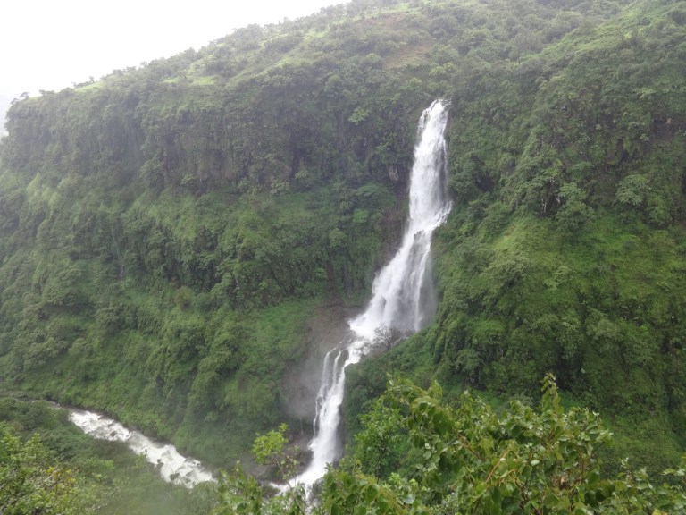 dsc08217