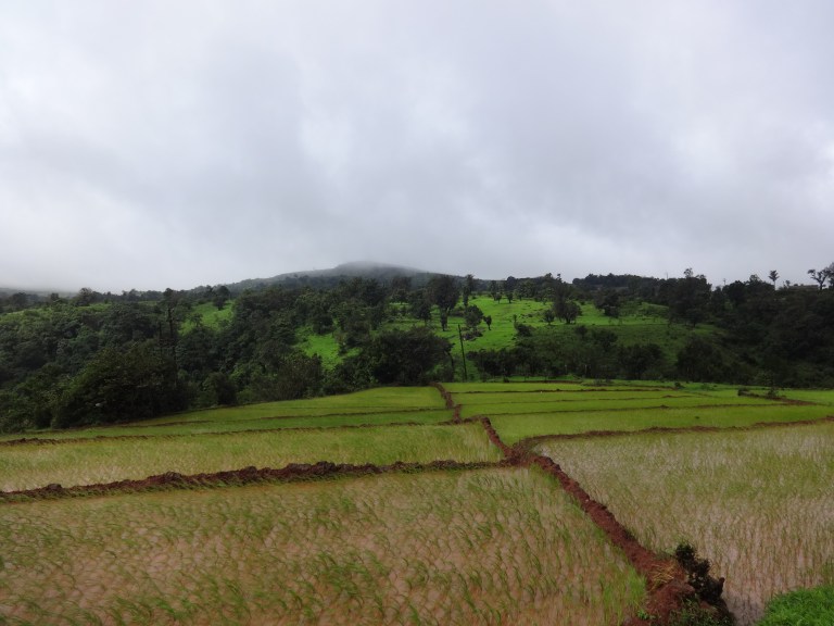 dsc08318