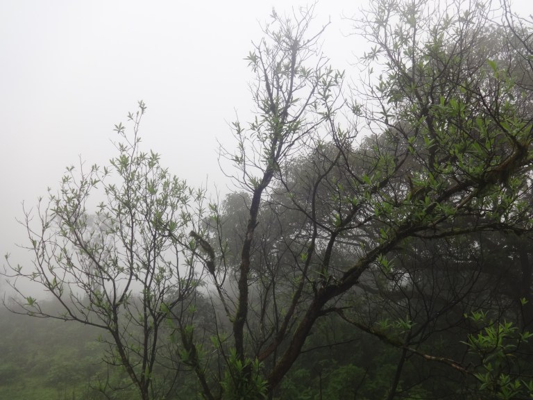 dsc09309