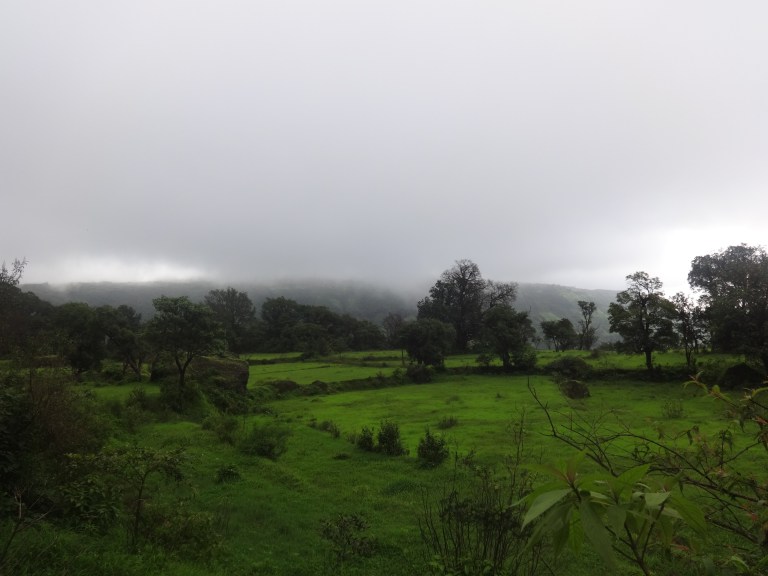 dsc09333