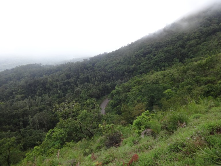 DSC04601