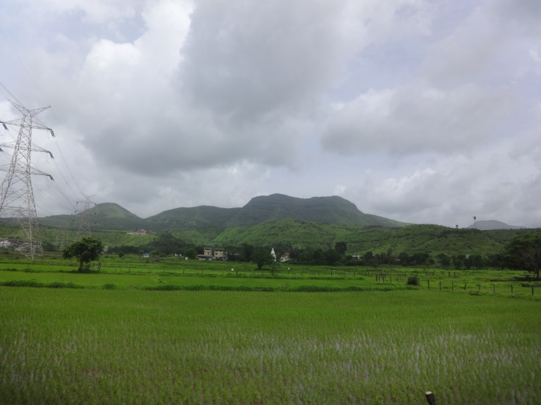 DSC05054