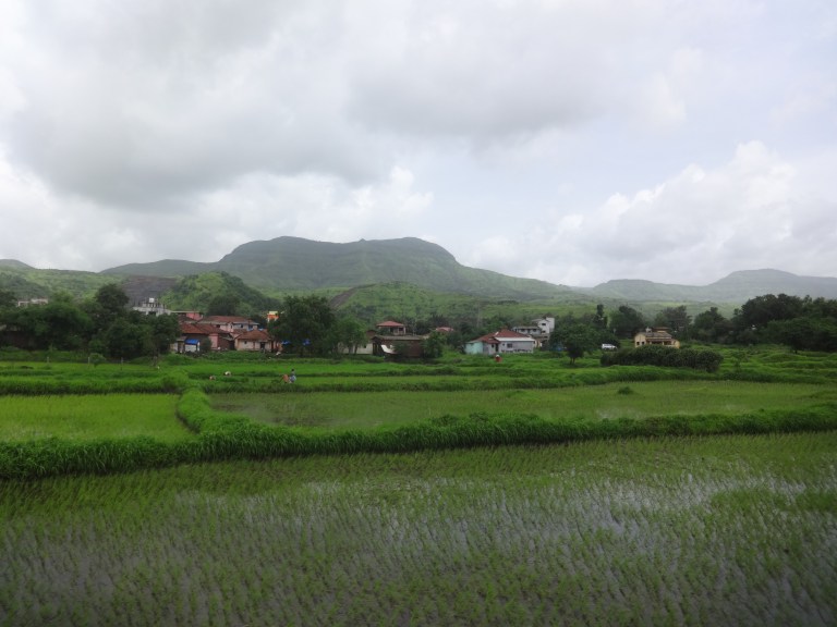 DSC05058