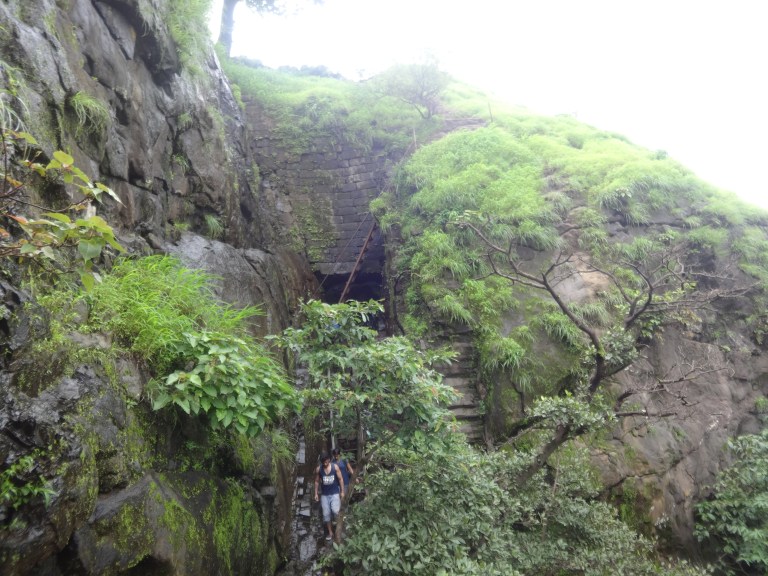 DSC05226