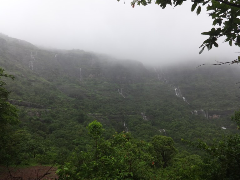 DSC05325