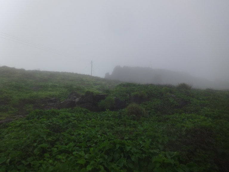 DSC05347