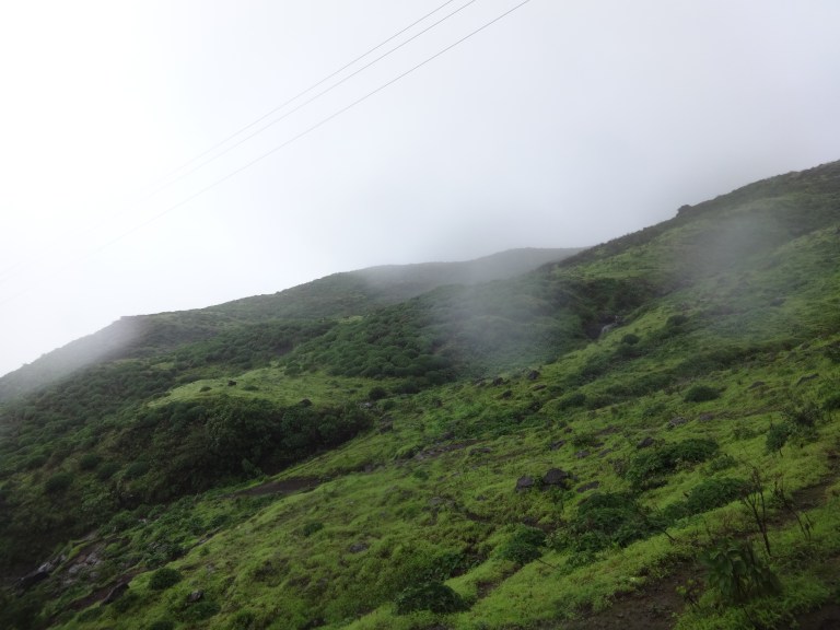 DSC05379