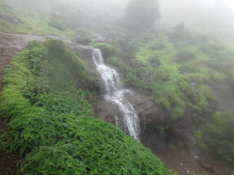 DSC05391