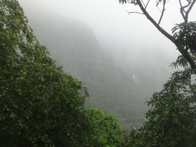 DSC05480