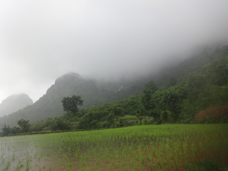 DSC05505