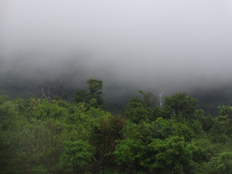 DSC05515