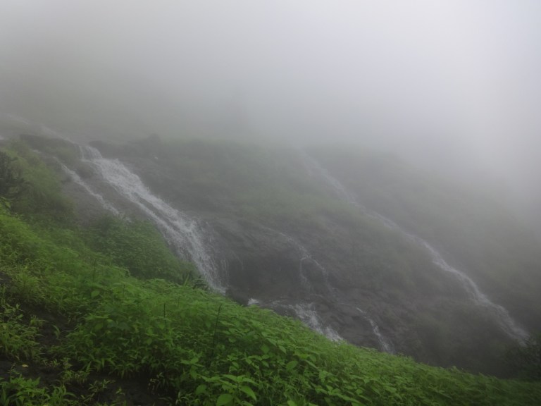 DSC05764