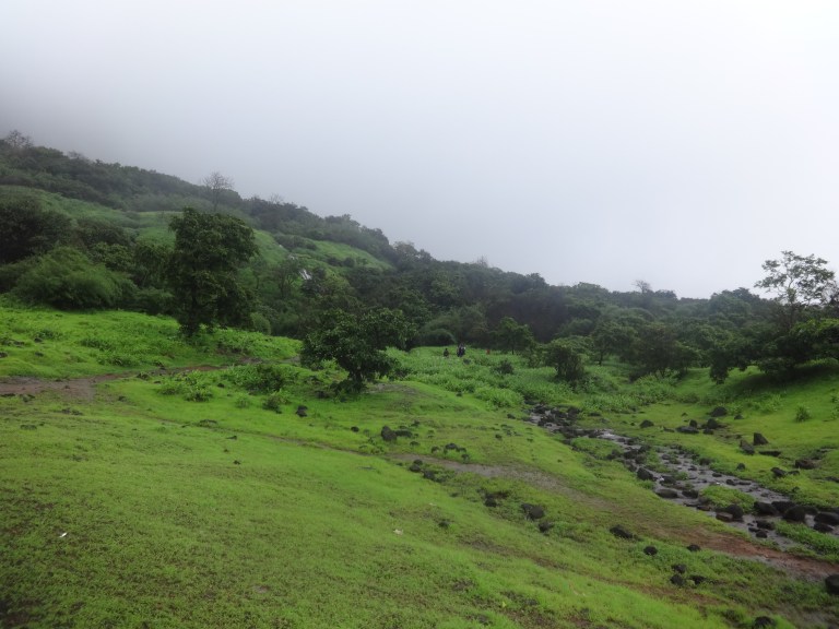 DSC05880