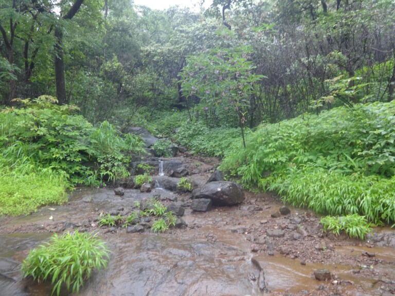 DSC05911