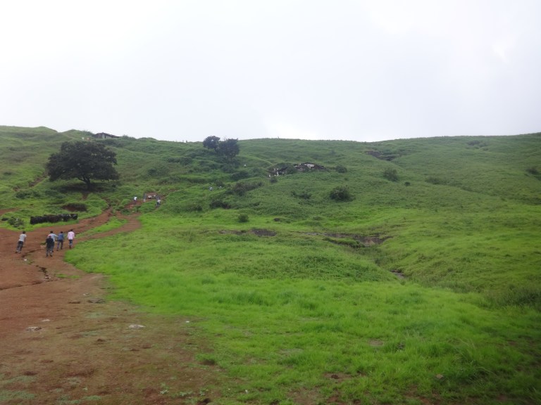 DSC09753
