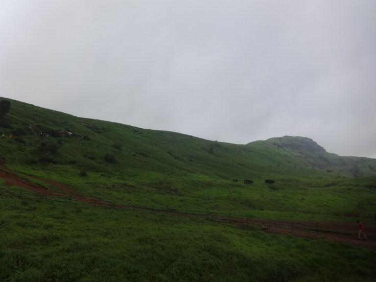 DSC09773