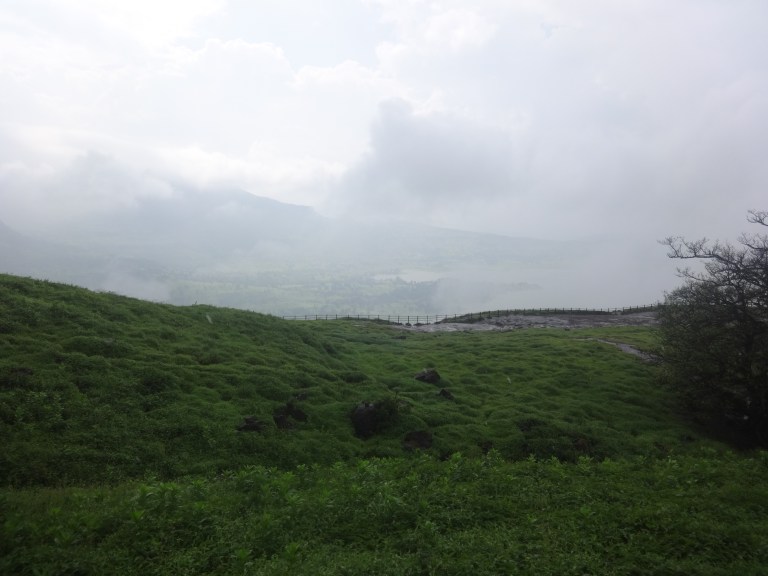 DSC09782